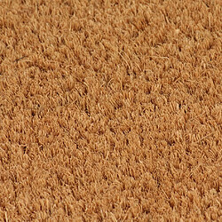 vidaXL Tapis de porte naturel 40x60 cm fibre de coco touffeté