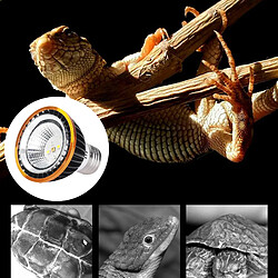 Acheter Led Reptile Light Sun Lamp Pour Amphibian Turtle Chameleon Lizard Snake 10.0