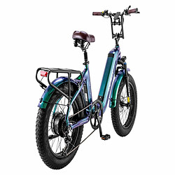 Vélo Électrique FAFREES F20 Master - Moteur 500W Batterie 1080WH Autonomie 110KM - Vert Aurore pas cher