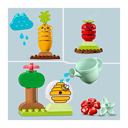 Acheter LEGO® Duplo® 10984 Le jardin bio