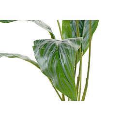 Plante décorative DKD Home Decor Vert PE (25 x 25 x 57 cm)