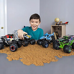 Avis MONSTER JAM - COLLECTOR DIE CAST TRUCKS - Echelle 1:24 - Modele aléatoire