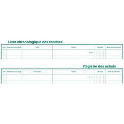 Exacompta 4410E Livre Recettes-Registre Achats pour Auto entreteneur Format 24x32 80 Pages