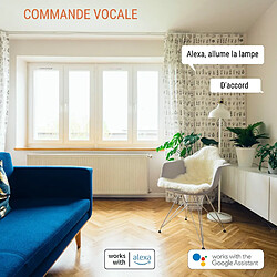 Prise connectée Konyks Priska Max 3 FR - WiFi + Bluetooth, Fonctions avancées V3, 16A, Compteur de consommation, Compatible Alexa et Google Home & Tuya Blanc/Rouge pas cher