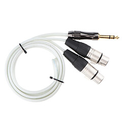 Remplacement du câble audio 6.35mm mâle vers dual xlr femelle pour haut-parleur 150cm