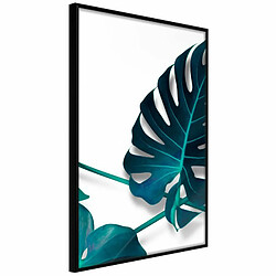 Paris Prix Affiche Murale Encadrée Turquoise Monstera I 20 x 30 cm Noir