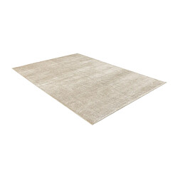 Acheter Vidal Tapis de laine 239x168 brun Darya