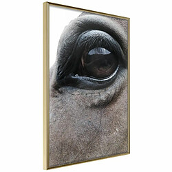 Paris Prix Affiche Murale Encadrée Gentle Eyes 20 x 30 cm Or