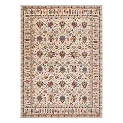 RUGSX Tapis NAIN Ornement, cadre, 1028 51053 beige bordeaux bleu 120x170 cm