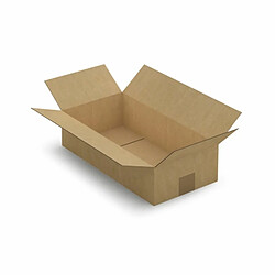 Raja Carton d'emballage 40 x 20 x 10 cm - Simple cannelure