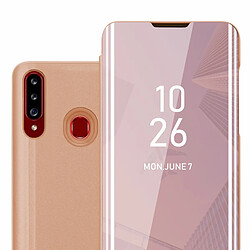 Cadorabo Coque Samsung Galaxy A20s Etui en Rose