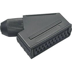 BKL Electronic Scart-Embrayage