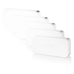 pack de 5 détecteurs anti intrusion - intellitag - somfy 2401488 pas cher