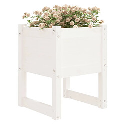 Avis Maison Chic Lot de 2 Jardinières,Bac à fleurs - pot de fleur Blanc 40x40x52,5 cm Bois massif de pin -GKD81148