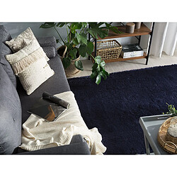 Avis Beliani Tapis 200 x 230 cm bleu EVREN