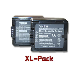 vhbw set 2 batteries 700mAh pour caméscope Panasonic HDC-HS9, HS20, HS100, HS200, HS300, HS700, HS3000, HDC-SX5, HDC-TM350, HDC-TM700