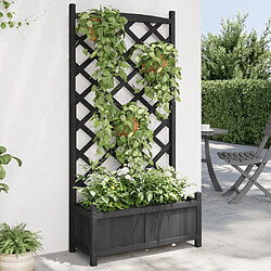 Maison Chic Jardinière,Bac à fleurs avec treillis - pot de fleur noir bois massif de sapin -GKD76352