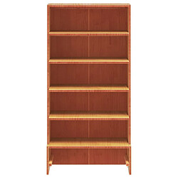 Acheter Maison Chic Armoire à chaussures | Meuble de rangement à chaussures Meuble d'Entrée cire marron 52x30x104 cm bois pin massif -MN41022