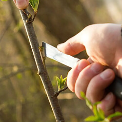 Couteau de jardin Cellfast pour greffage de plantes