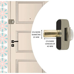 Verrou de porte Bouton/Cylindre - YALE - YV25BT-45 - Protection anti arrachement - 4 clés - Beige