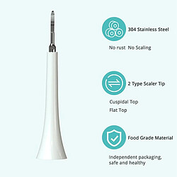 Acheter Universal Brosse à dents électrique à double mode pour enlever les taches de dents calculées.