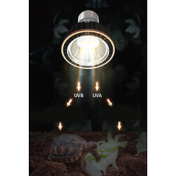 Avis Led Reptile Light Sun Lamp Pour Amphibian Turtle Chameleon Lizard Snake 10.0