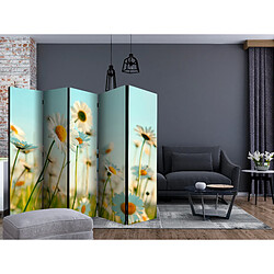 Artgeist Paravent - Daisies - spring meadow II [Room Dividers] [225x172]