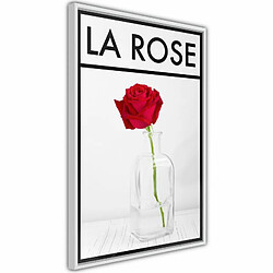 Paris Prix Affiche Murale Encadrée Rose in the Vase 20 x 30 cm Blanc