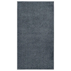 vidaXL Tapis à poils courts 80x150 cm Anthracite