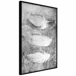 Paris Prix Affiche Murale Encadrée Delicate Feathers 20 x 30 cm Noir