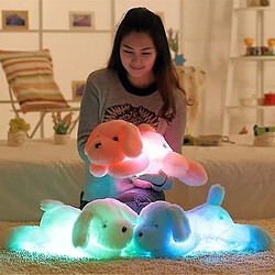 Universal Classic Luminal Teddy Dog -led Light Pillowwhite pas cher