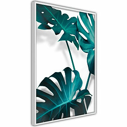 Paris Prix Affiche Murale Encadrée Turquoise Monstera II 20 x 30 cm Blanc