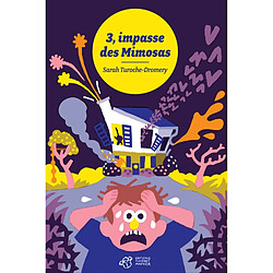 3, impasse des mimosas - Occasion