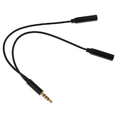 3.5mm Mâle à 2 Câble D'adaptateur Audio Femelle Pour Des Pièces D'ampli D'amplificateur De Guitare