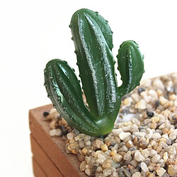 Wewoo Décoration décorative de bureau à la maison de paysage de jardin de cactus de 2 PCS ministyle Un