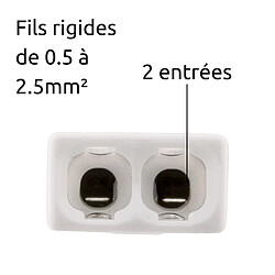 Lot de 100 bornes S2273 - Connexion rapide - 2 conducteurs - fils rigides 2.5mm² - blanc - Wago