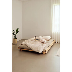 Inside 75 Lit futon SOCIAL pin laqué naturel couchage 180x200 cm pas cher