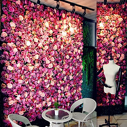 Avis Wewoo Décoration Jardin rose Champagne fleur pivoine hortensia artificielle cryptage bricolage mariage mur photo fond, taille: 60 cm x 40 cm