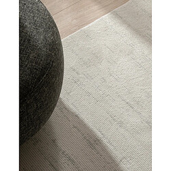 Avis Hadorn Tapis 185x125 gris clair Davos Charme