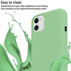 Avis Cadorabo Etui iPhone 11 Coque en Vert