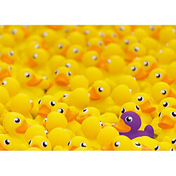 Acheter RAVENSBURGER PUZZLE 1000 pièces-Canards (Challenge Puzzle) Adulte, 4005556170975