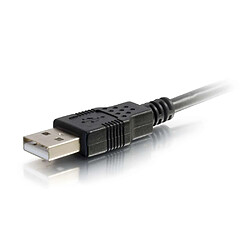 Cables To Go C2G Câble USB 2.0 A Mâle Vers Micro-USB B Mâle De 4 m