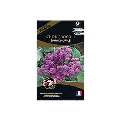 Sanrival Graines potagères premium chou Brocolis summer purple