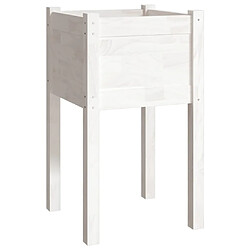 Maison Chic Jardinière,Bac à fleurs - pot de fleur d'extérieur Blanc 40x40x70 cm Bois de pin massif -GKD38025