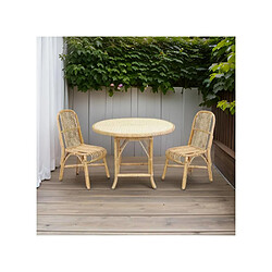 Table de jardin