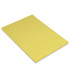 Canson Iris Vivaldi Papier couleur A4 Lisse 185g/m² 21 x 29,7 cm Jaune Paille Lot de 50