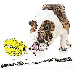 chien Jouet à Mâcher Ovale De 13 cm Avec Corde Heilwiy Nettoyage Des Dents Brosse à Dents Pour Chien Heilwiy Jouet Pour Chien Cadeau