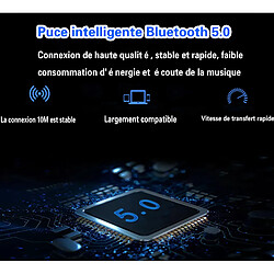 Avis Nw 1776 Oreillette Bluetooth, 5.0 oreillette Bluetooth