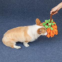 Acheter Jouet de corde pour chien, presque indestructible, qui prévient l'ennui et le stress.