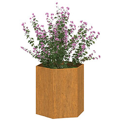 Avis Maison Chic Jardinière,Bac à fleurs - pot de fleur Rouillé 40x40x45 cm Acier corten -GKD70018